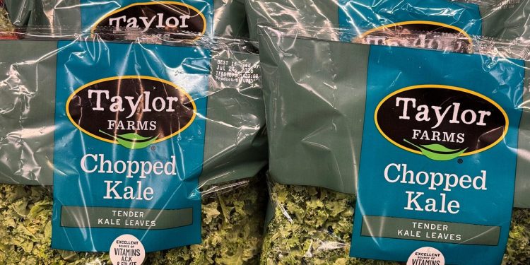 Allarme Cyclospora: ritirata l'insalata Taylor Farms negli Stati Uniti