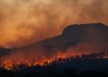Incendi in Europa: i pericoli sanitari del fumo tossico