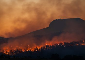 Incendi in Europa: i pericoli sanitari del fumo tossico