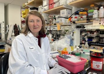 Lisosomi e invecchiamento: la scoperta molecolare sul decadimento cellulare