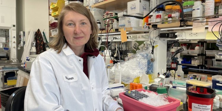 Lisosomi e invecchiamento: la scoperta molecolare sul decadimento cellulare