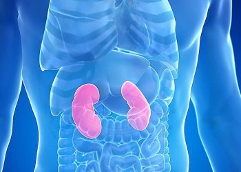 L'iperuricemia aumenta il rischio di mortalità nell'insufficienza renale cronica