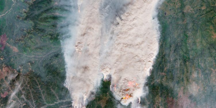 Ondate di calore e incendi in Europa: danni per miliardi