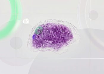 Cresciuti in laboratorio per cinque anni i primi organoidi cerebrali