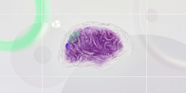 Cresciuti in laboratorio per cinque anni i primi organoidi cerebrali