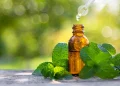 L'olio di menta piperita riduce la pressione in venti giorni