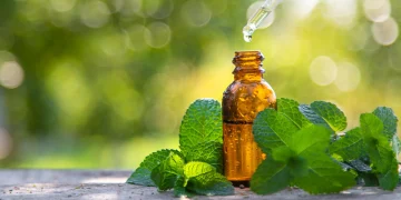 L'olio di menta piperita riduce la pressione in venti giorni